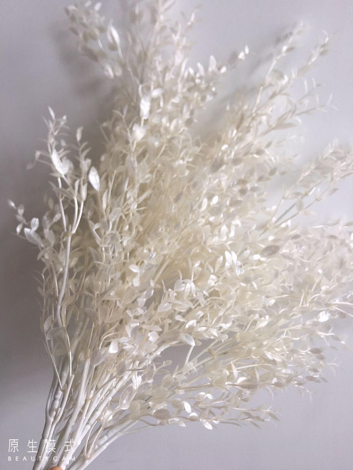 Dried Flower Bunch - Folha Artificial de Bambusa Milan com
