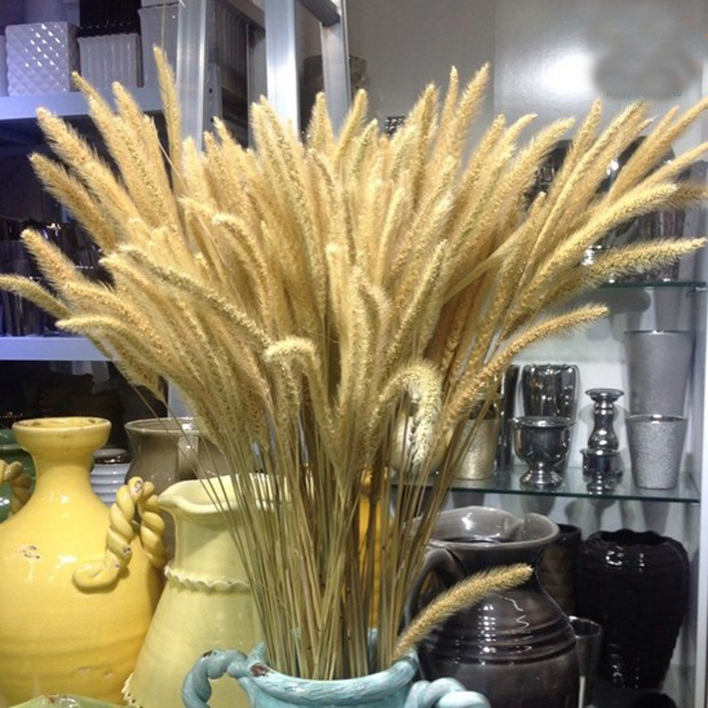 Dried Flower Bunch - 200 peças buquês de lagurus ovatus