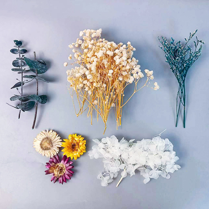 Dried Flower Bunch - 1 pacote vários flores secas conjunto