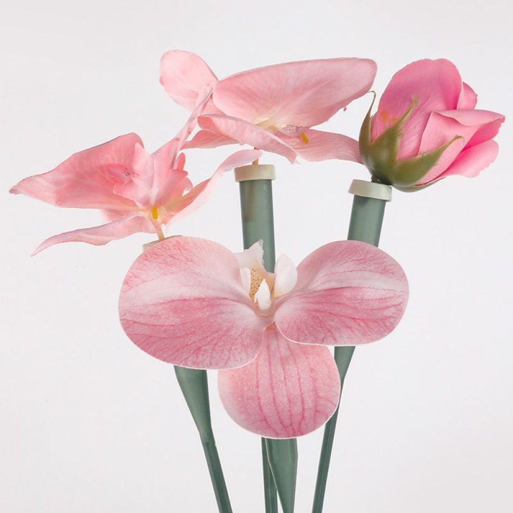 Florist Supply Shop - Tubos de Conservação Floral Transparentes de