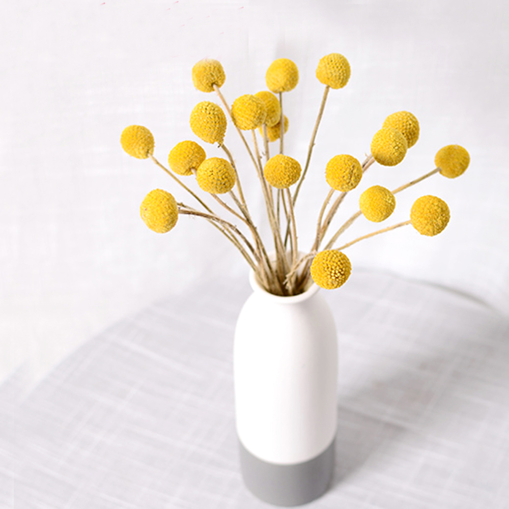 Buquês de flores de Craspedia  - Dried Flower Bunch avaliação e preço