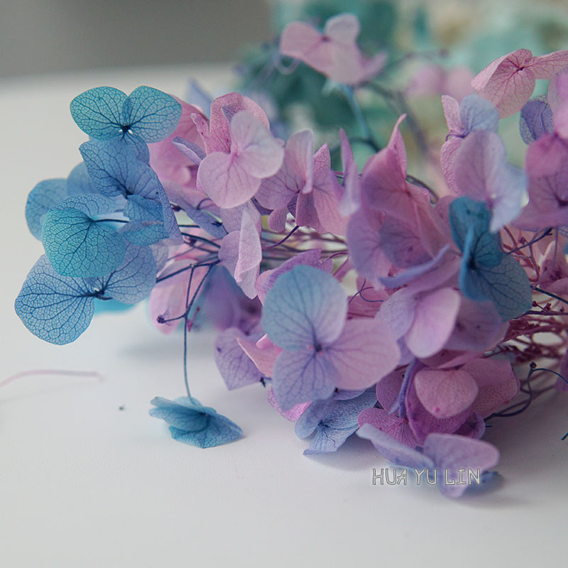 Flores Secas Preservadas de Ho - Dried Flower Bunch avaliação e preço